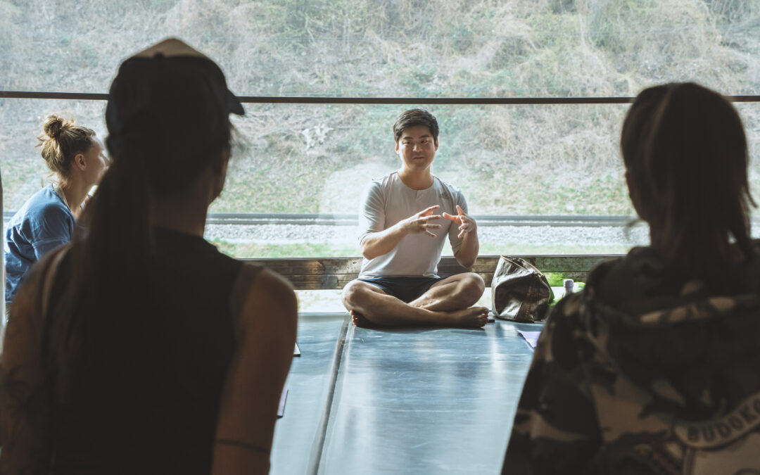 200h Inside Yoga Ausbildungswochenende 3 in Klagenfurt